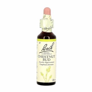 Bach Flower Remedies Chestnut Bud