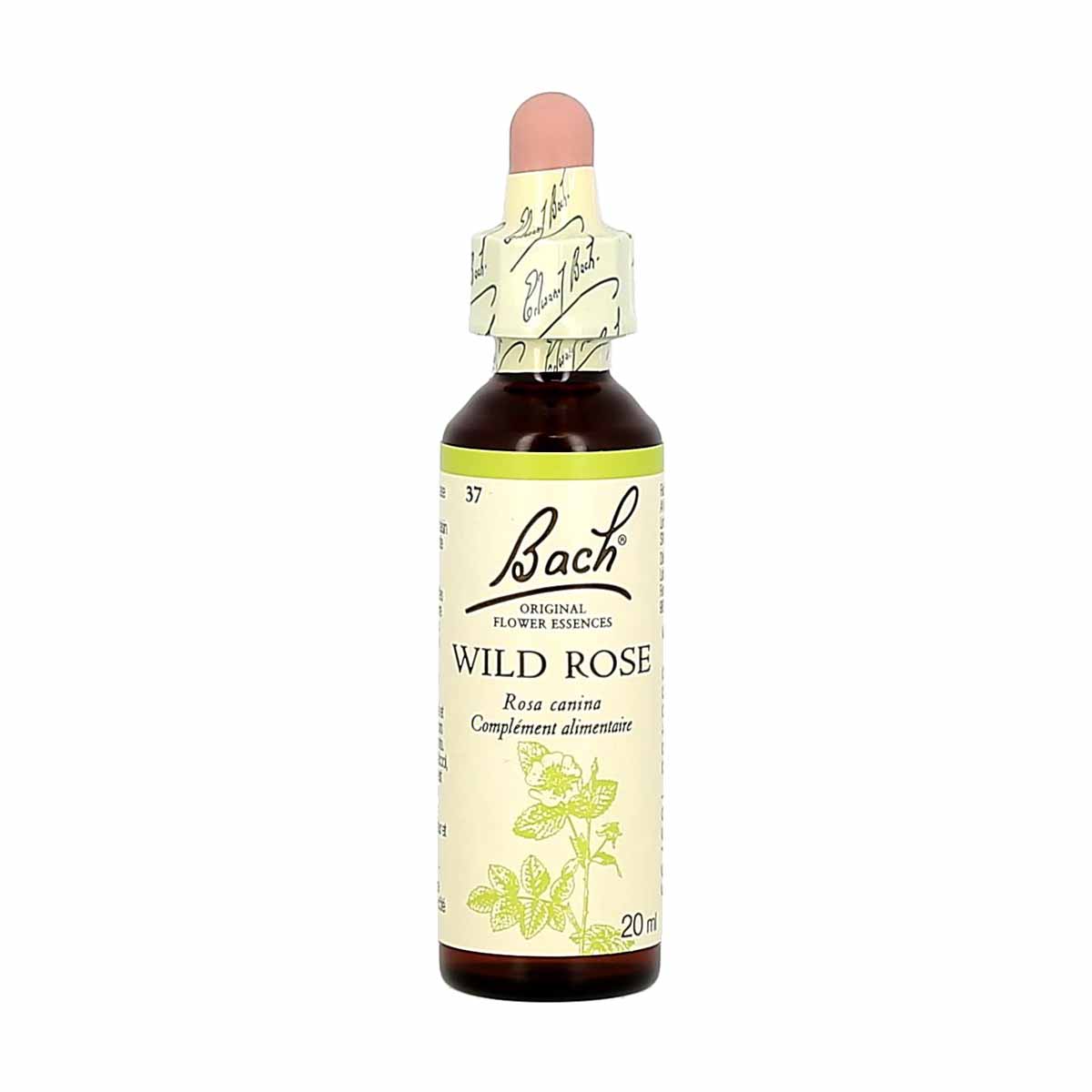 Bach Flower Remedies Wild Rose/Eglantine