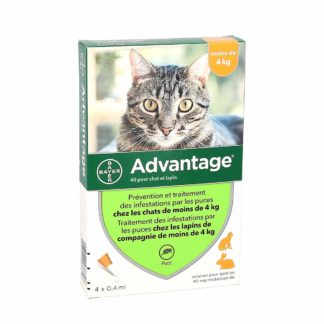 Advantage 40 Anti-Puces Chats et Lapins ≤ 4kg