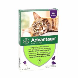Advantage 80 Anti-Puces Chats et Lapins ≥ 4kg