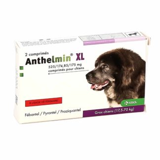 Anthelmin Large Dogs 17-70kg