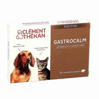 Clement Thekan Gastrocalm